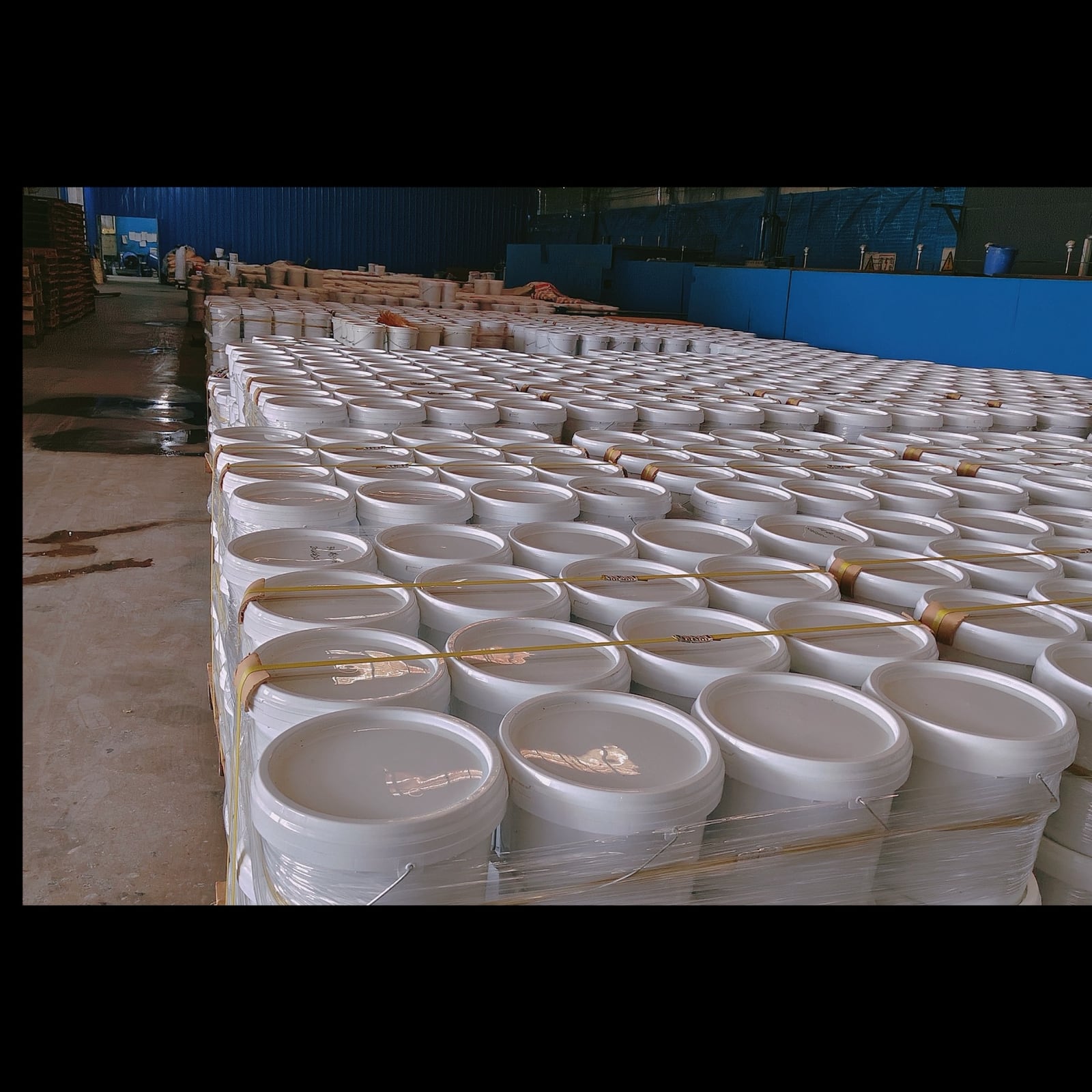 Rows of white powder packaging pails wrapped in stretch film at the Tongcheng facility